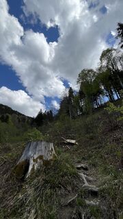 Foto von Maja Mariann Nagy entlang der Tour