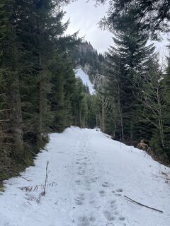 Fotografija s spletne strani Andreas Rettner na poti