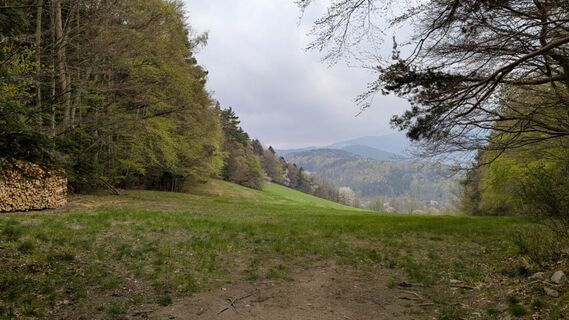 Photo de Richard Schwald le long du parcours