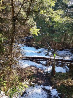 Fotografija s spletne strani 3d63 ru^^n3r na poti