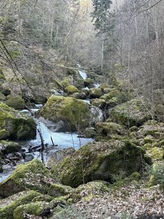 Foto von Babs Holz entlang der Tour