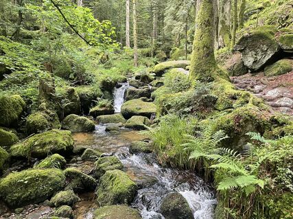 Photo de Ralf Umminger le long du parcours