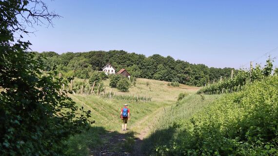 Gemütliches Dahinwandern