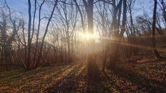 Foto van Regina Fleischmann langs de tour