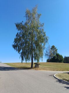 Foto von Claudia Höfinger entlang der Tour