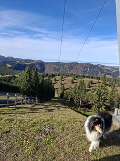 Foto van Oliver Vecera langs de tour
