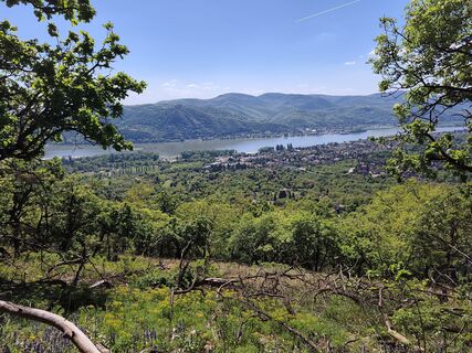 Foto de Csaba Kun a lo largo del recorrido