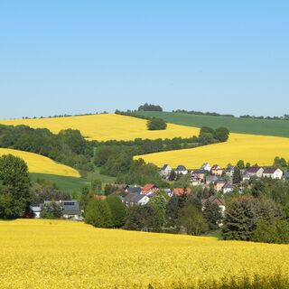 Blick zum Lerchenberg