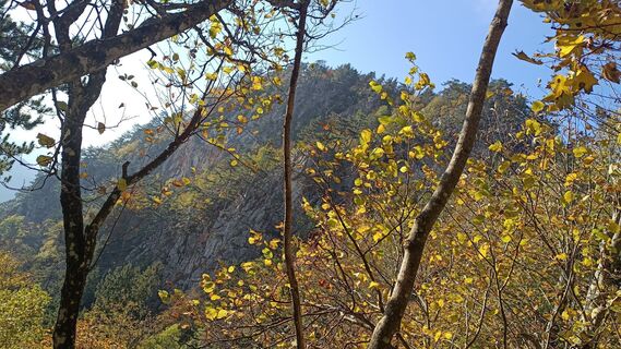 Foto von Bergpirat entlang der Tour