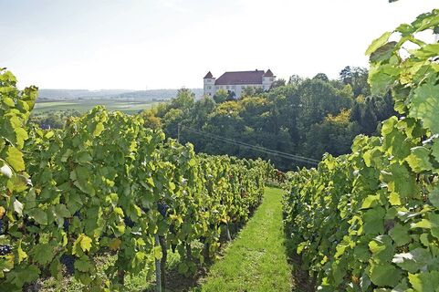 Schloss Hohenstein bei Bönnigheim