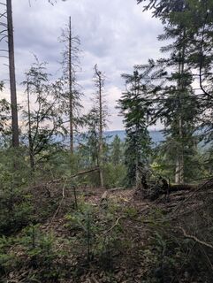 Photo de thmetzlee le long du parcours