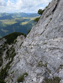 Zdjęcie z SFK wzdłuż trasy