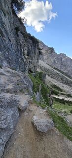 Fotografija s spletne strani Richard Seba na poti