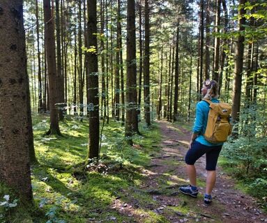 Wald