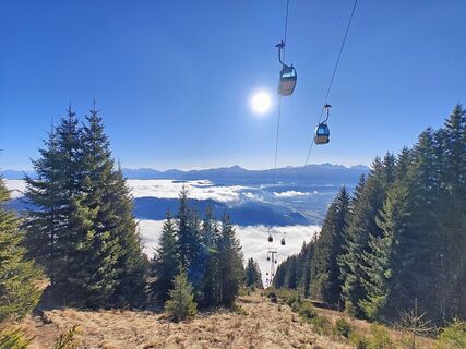 Fotografia z David Krautzer na trase