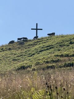 Foto von Michael Müller 62 entlang der Tour