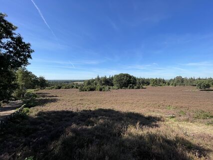 Foto de Raymond Woertman a lo largo del recorrido