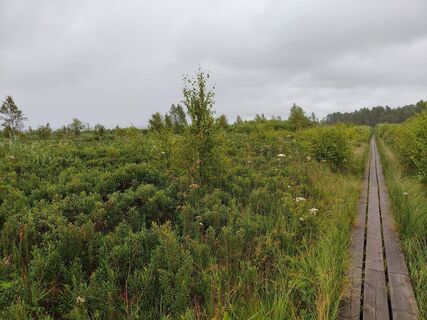 Photo de Willem kremer le long du parcours
