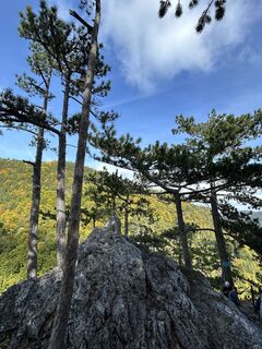 Fotografia z tjiong na trase