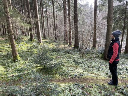 Foto von retogeissmann entlang der Tour