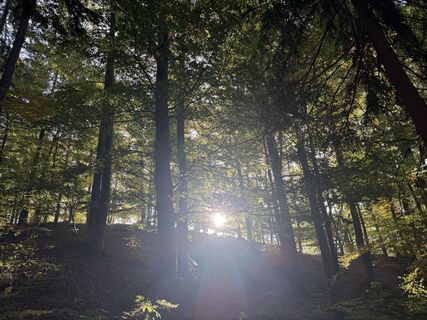Foto von Gerti Glettler entlang der Tour