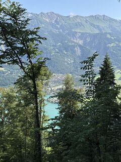 Fotografie z Andreas Ebert na trase