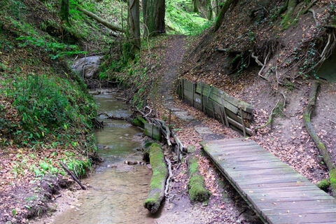 Abzweig in der Klingenbachschlucht zum Bruderhof