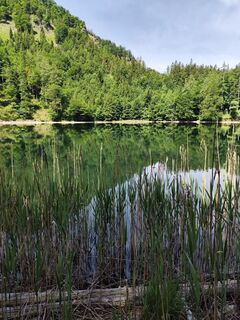 Fotografija s spletne strani Margit Leitner 1 na poti
