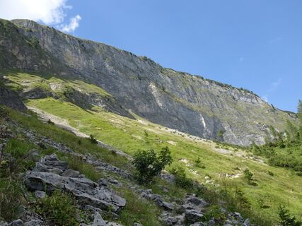 Tag 1 - Graswand