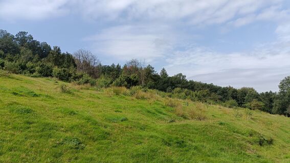 Bonstapel-A2_Kleiner-Selberg.jpg