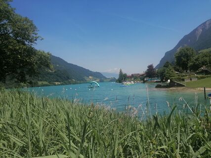 Photo from luyyy along the tour