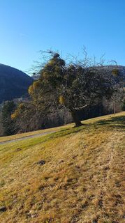 Photo de Renate Kormann 1 le long du parcours