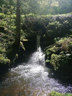 Fotografie z Dagmar Hofer na trase