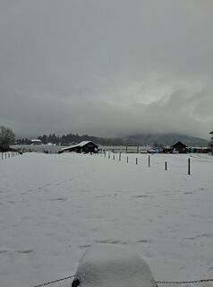 Zdjęcie z Peter Orasche wzdłuż trasy