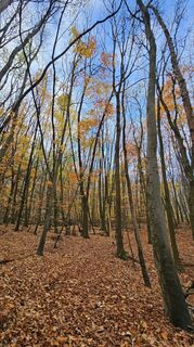 Foto von Alexandra Stani entlang der Tour