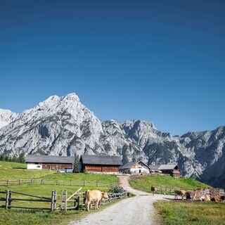 Walderalm vor den ersten Karwendelgipfeln