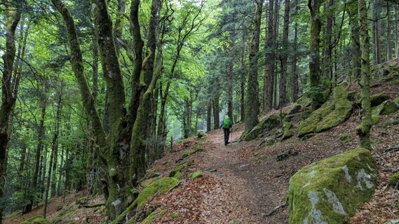 Foto de Richard Schwald a lo largo del recorrido