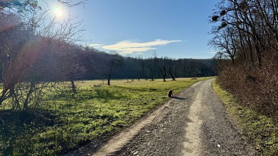 Fotografie de la Martin Weinbrenner de-a lungul turului