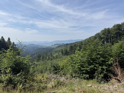 Foto von Witold Barsznica entlang der Tour