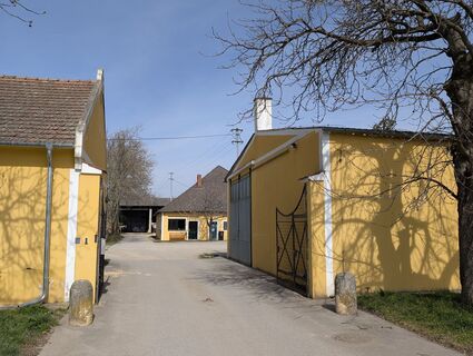 Foto von Franz Dvoran entlang der Tour
