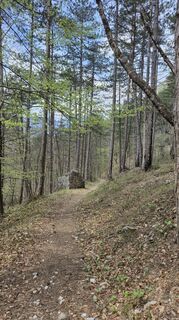 Fotografija s spletne strani Fabrizio Plesnizer na poti