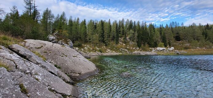 Foto fra Igor napast undervejs på turen
