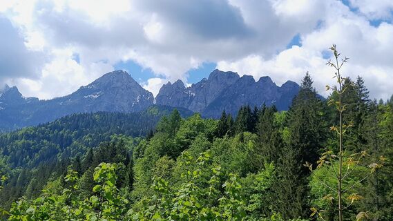 Photo de Rudolf Brandl le long du parcours