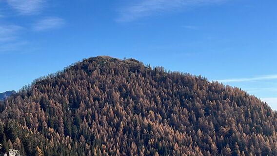 Photo from Marisa scafetta along the tour