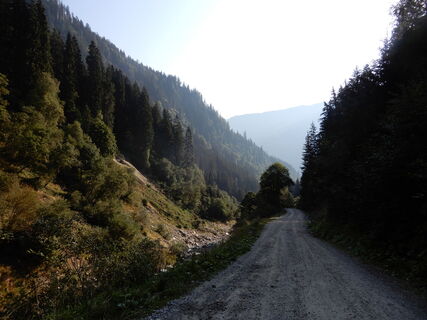 Donnersbachwald - Mössna