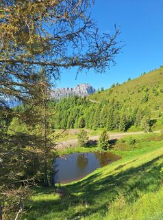 Foto von Dagmar Hofer entlang der Tour