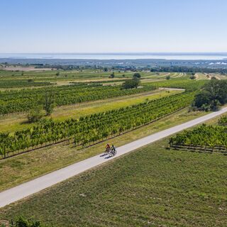 Neusiedler See