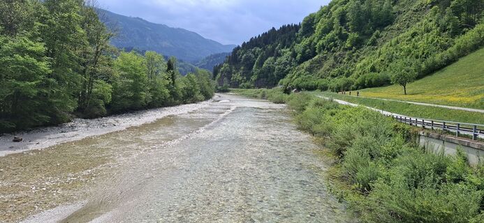 Fotografia z schoenfalter na trase