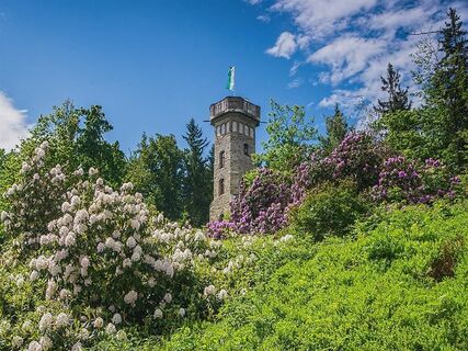 Blick zum Bismarckturm