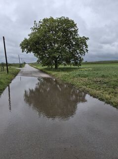 Photo de Markus Hummelbrunner le long du parcours